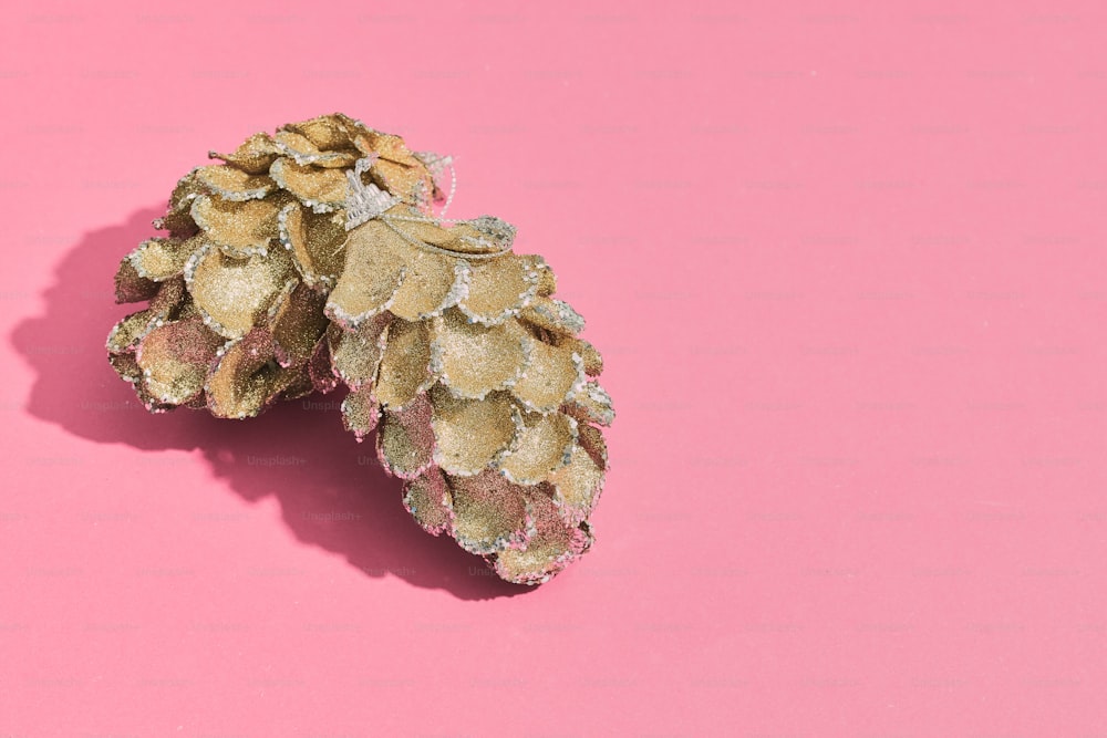 a close up of a pine cone on a pink background