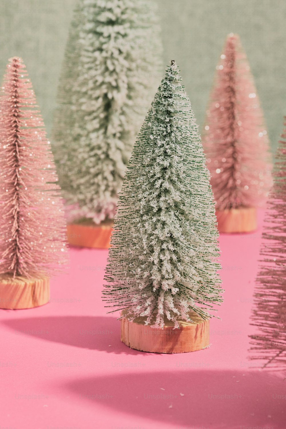 a group of small trees sitting on top of a pink surface