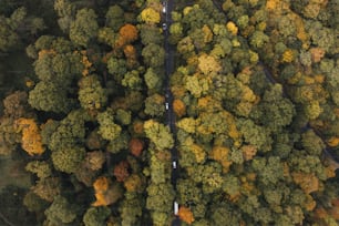 an aerial view of a road surrounded by trees