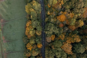 an aerial view of a road surrounded by trees