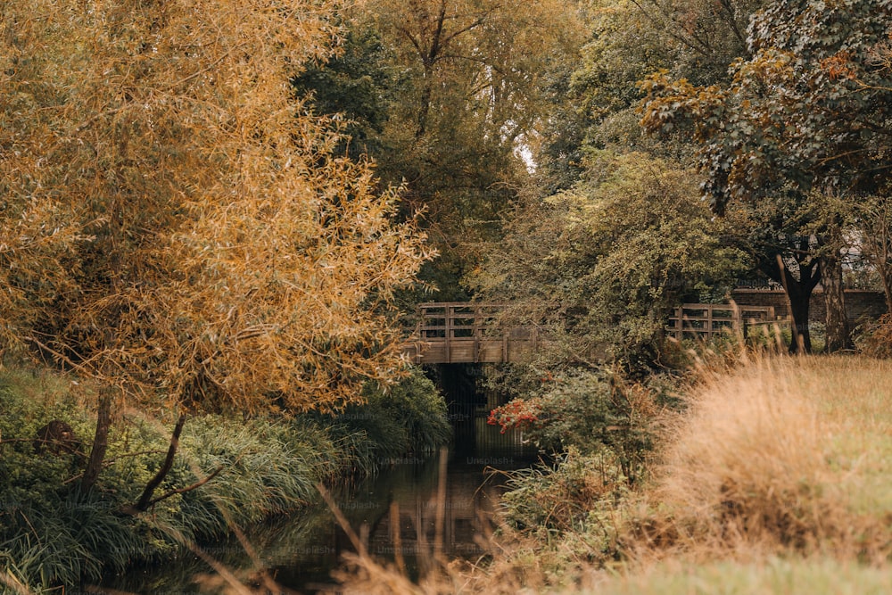 eine Brücke über einen Fluss, der von Bäumen umgeben ist