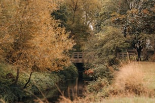 a bridge over a river surrounded by trees