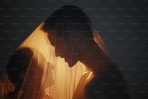 a silhouette of a woman with a veil over her head