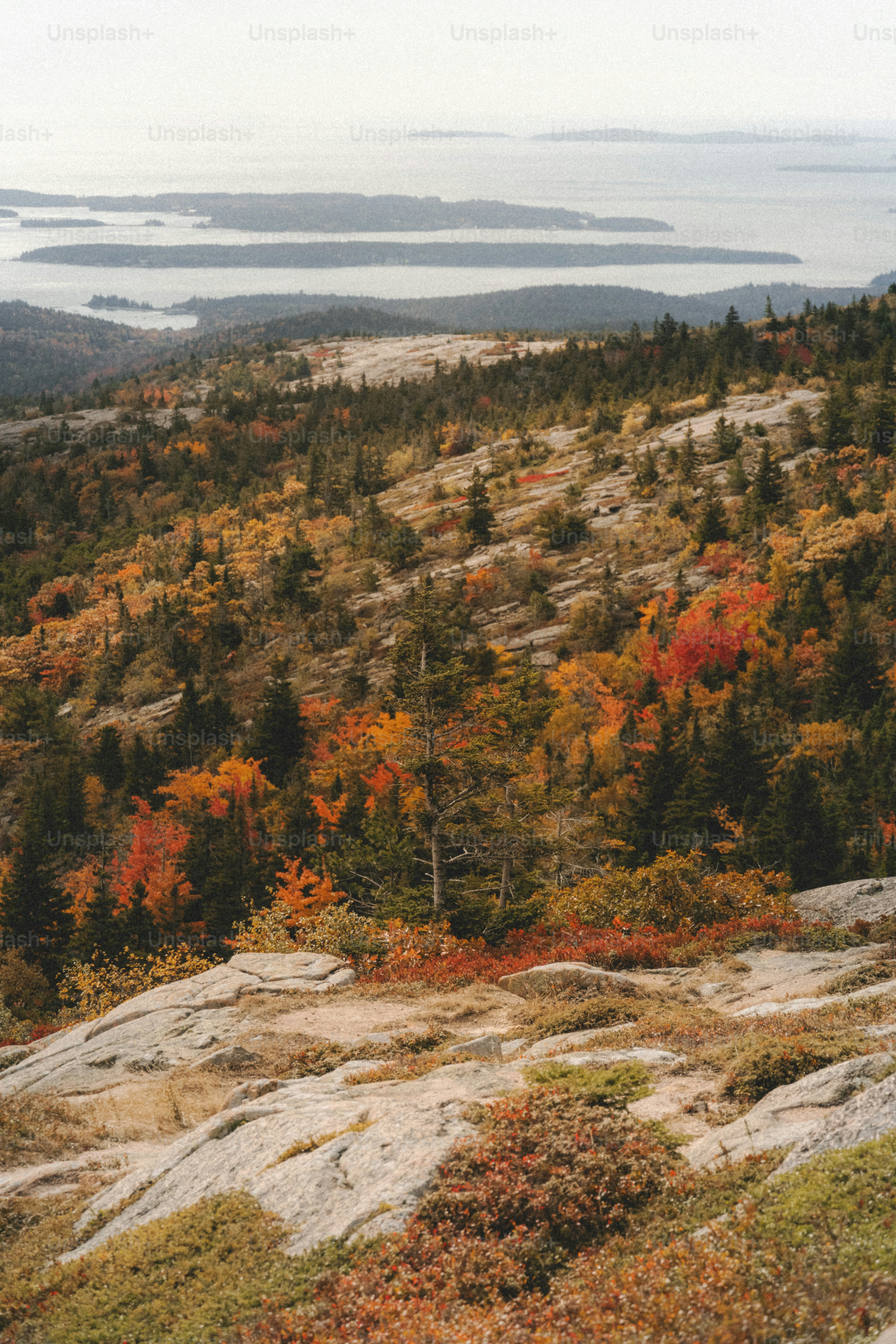 a bench on a hill overlooking a lake
