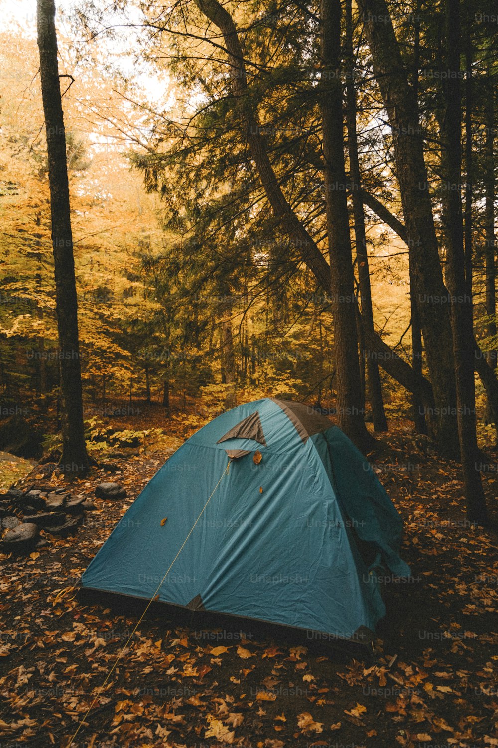 a tent pitched up in the woods on a fall day