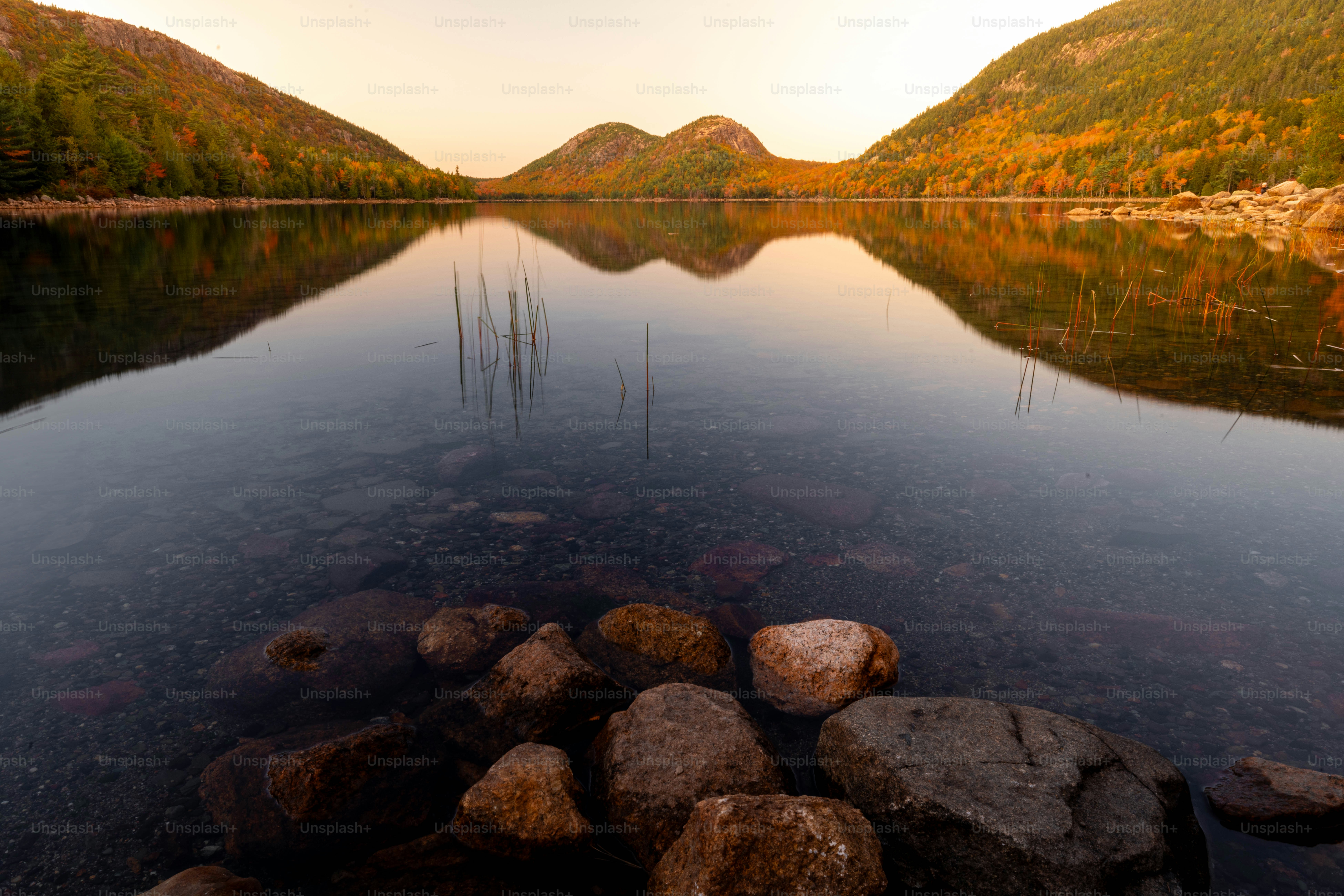 um corpo de água cercado por montanhas e árvores