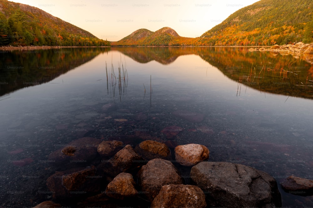 a body of water surrounded by mountains and trees