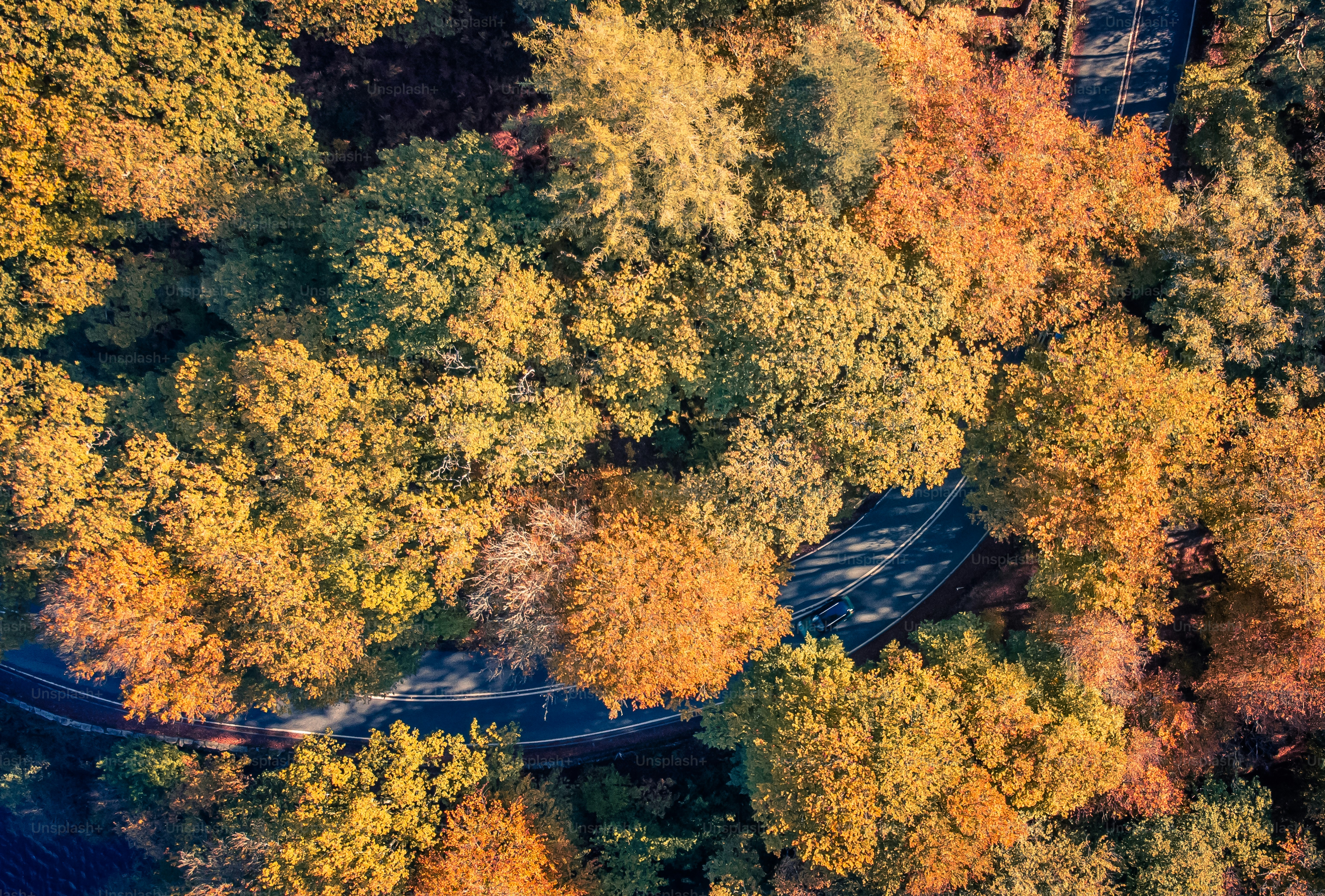 an aerial view of a winding road surrounded by trees