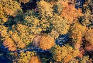 an aerial view of a winding road surrounded by trees