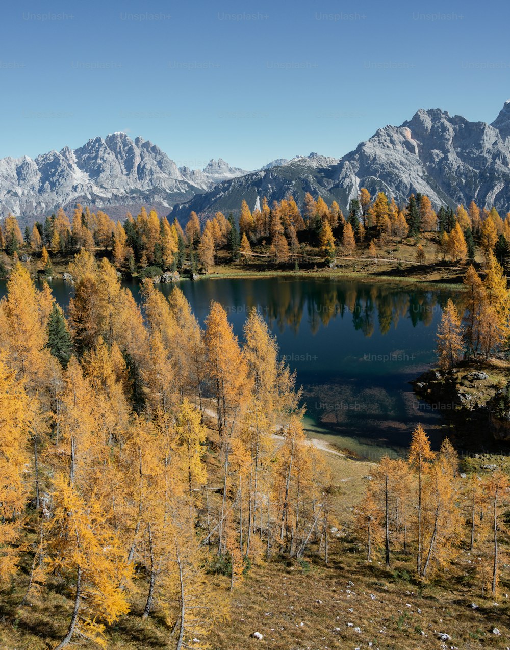 a lake surrounded by trees with mountains in the background