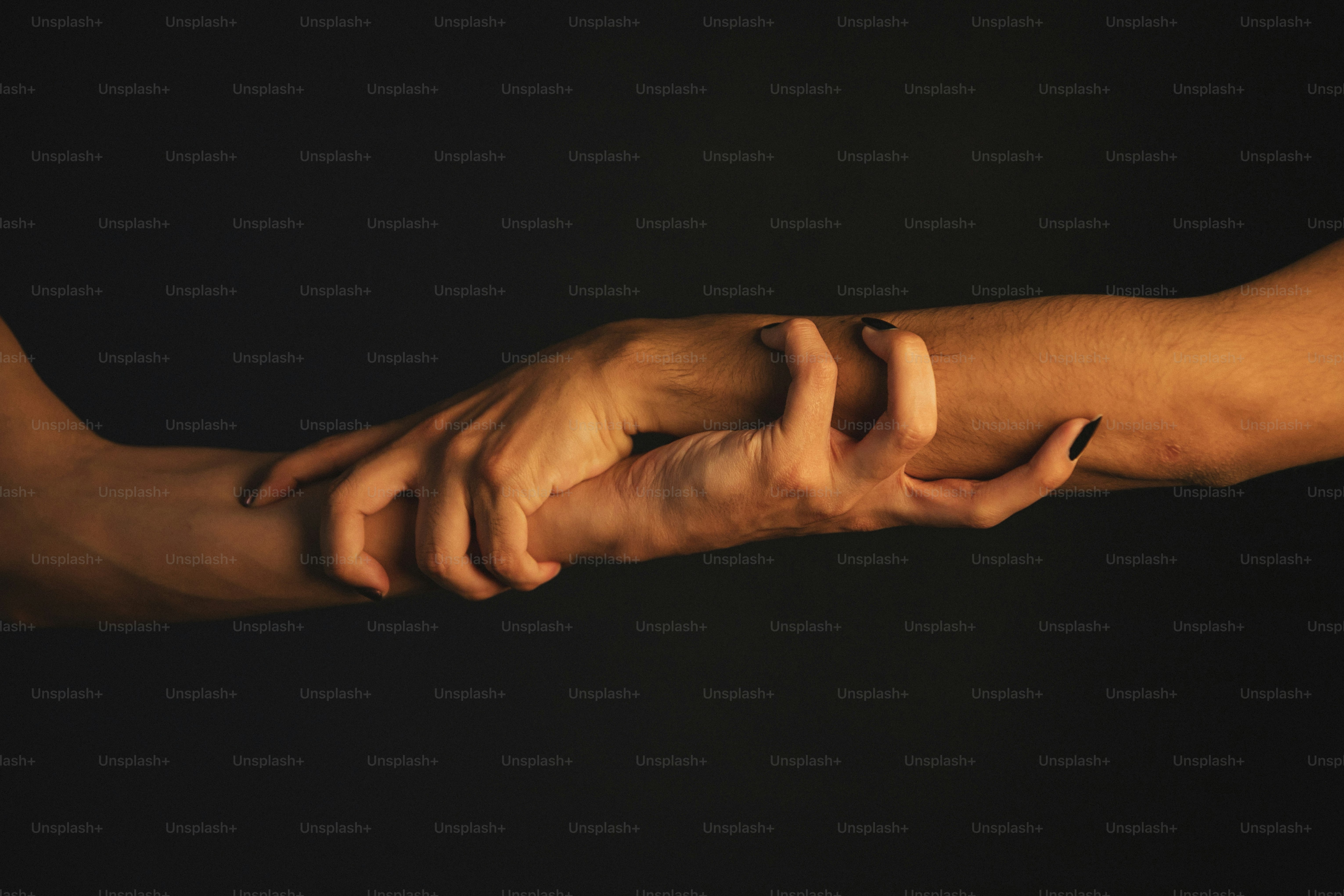 premium_photo-1697211174167-f6c24f67ab47