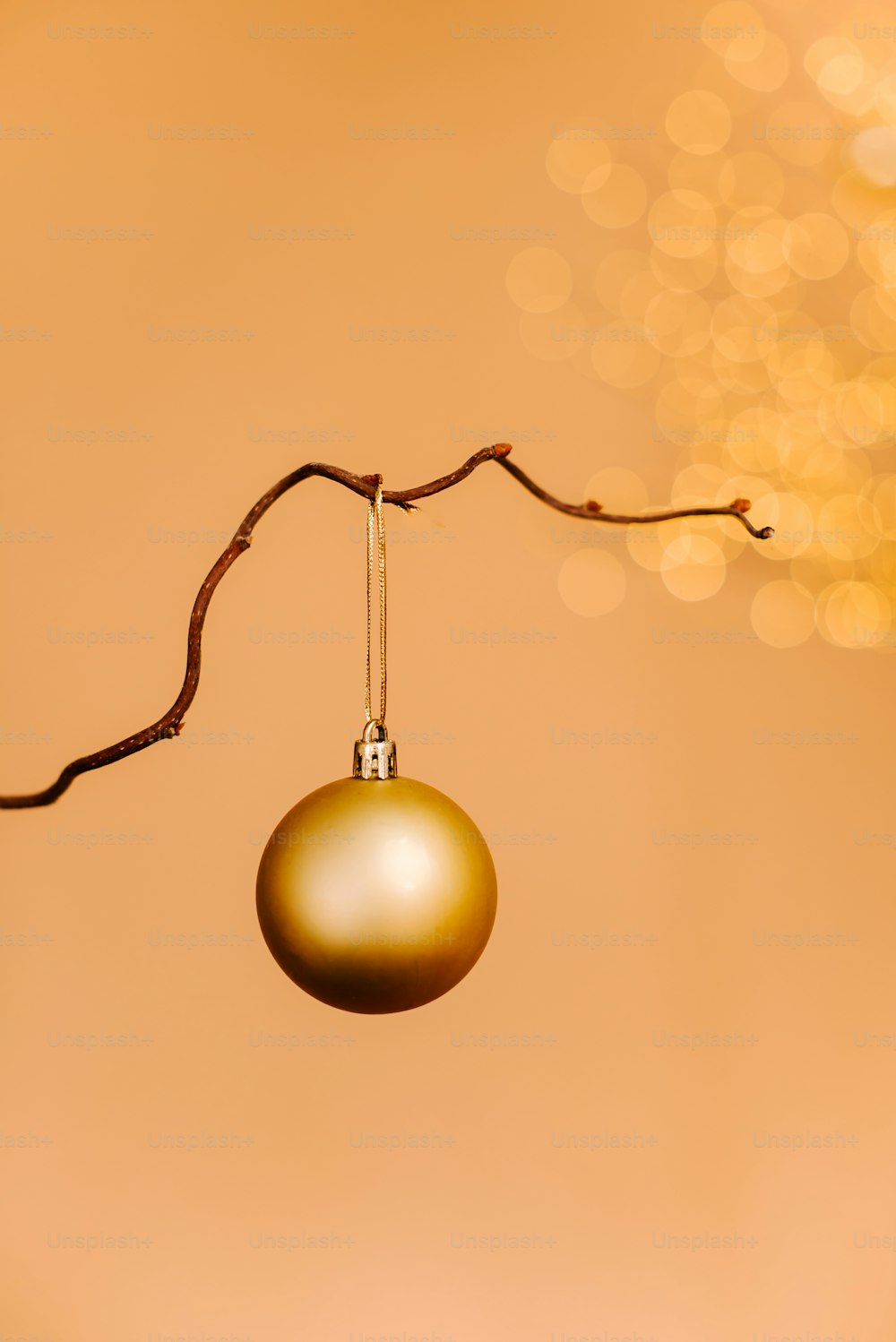 a gold ornament hanging from a tree branch