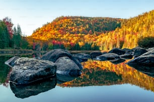 a body of water surrounded by rocks and trees