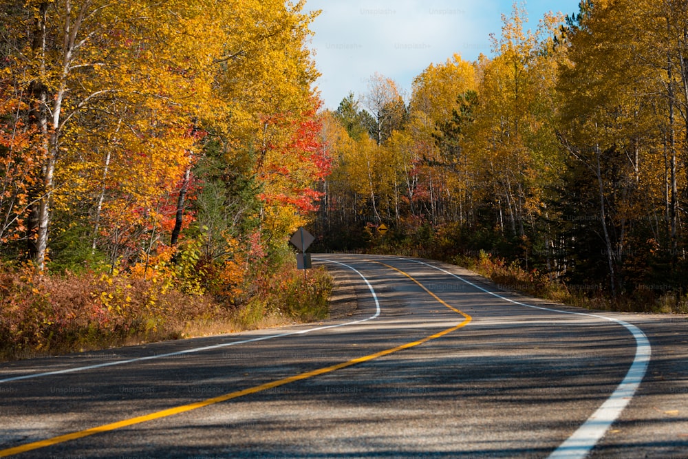 una strada circondata da alberi dalle foglie gialle e rosse