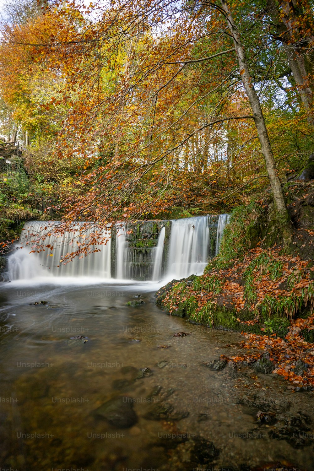 a small waterfall in the middle of a forest