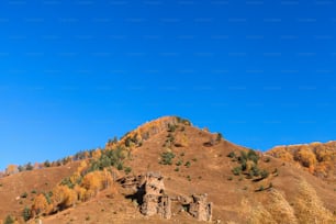 a mountain side with a few trees on it