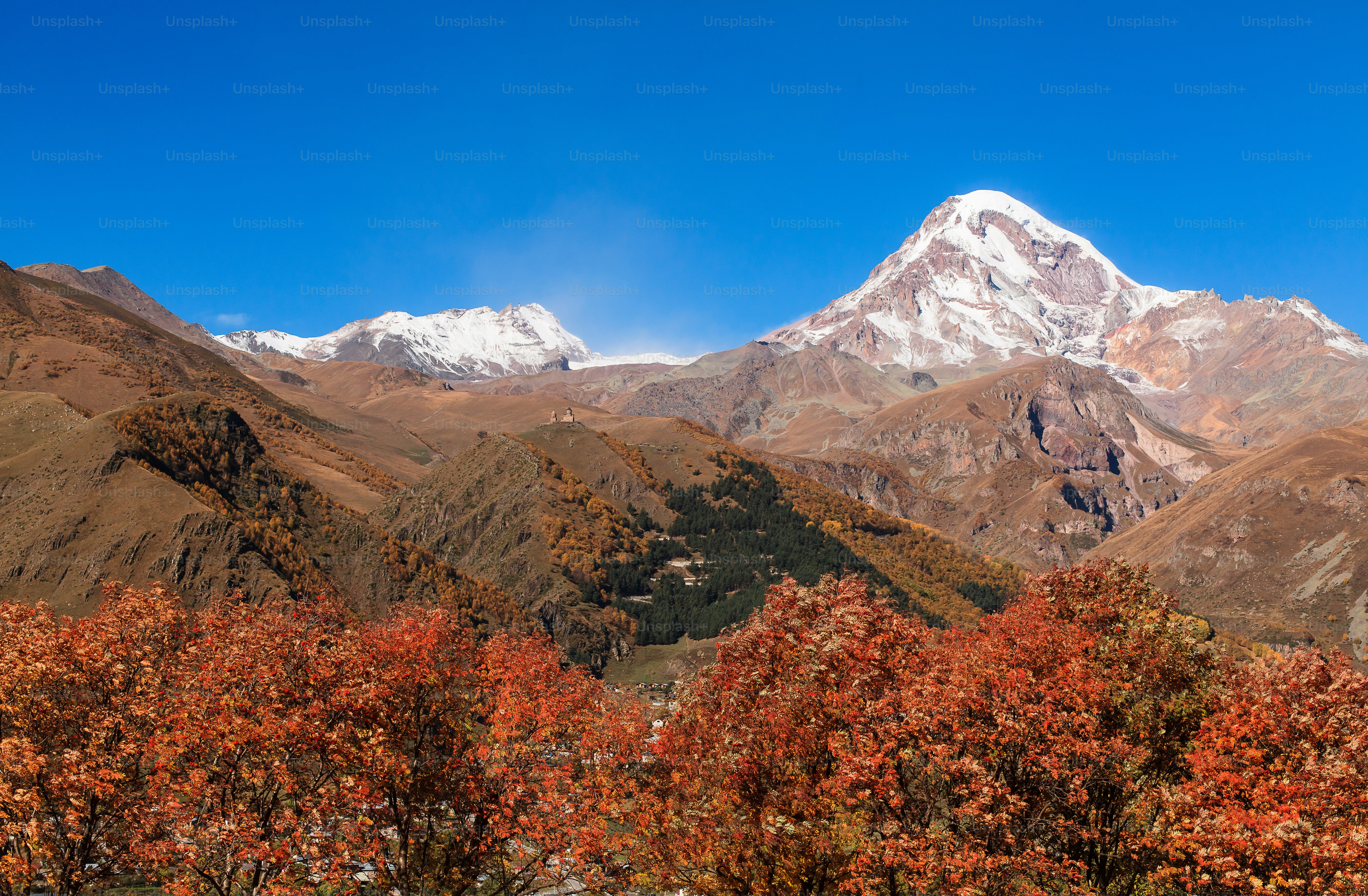a view of a mountain range with trees in the foreground