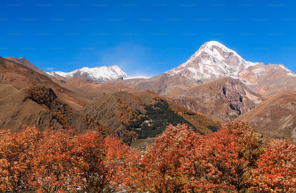 a view of a mountain range with trees in the foreground