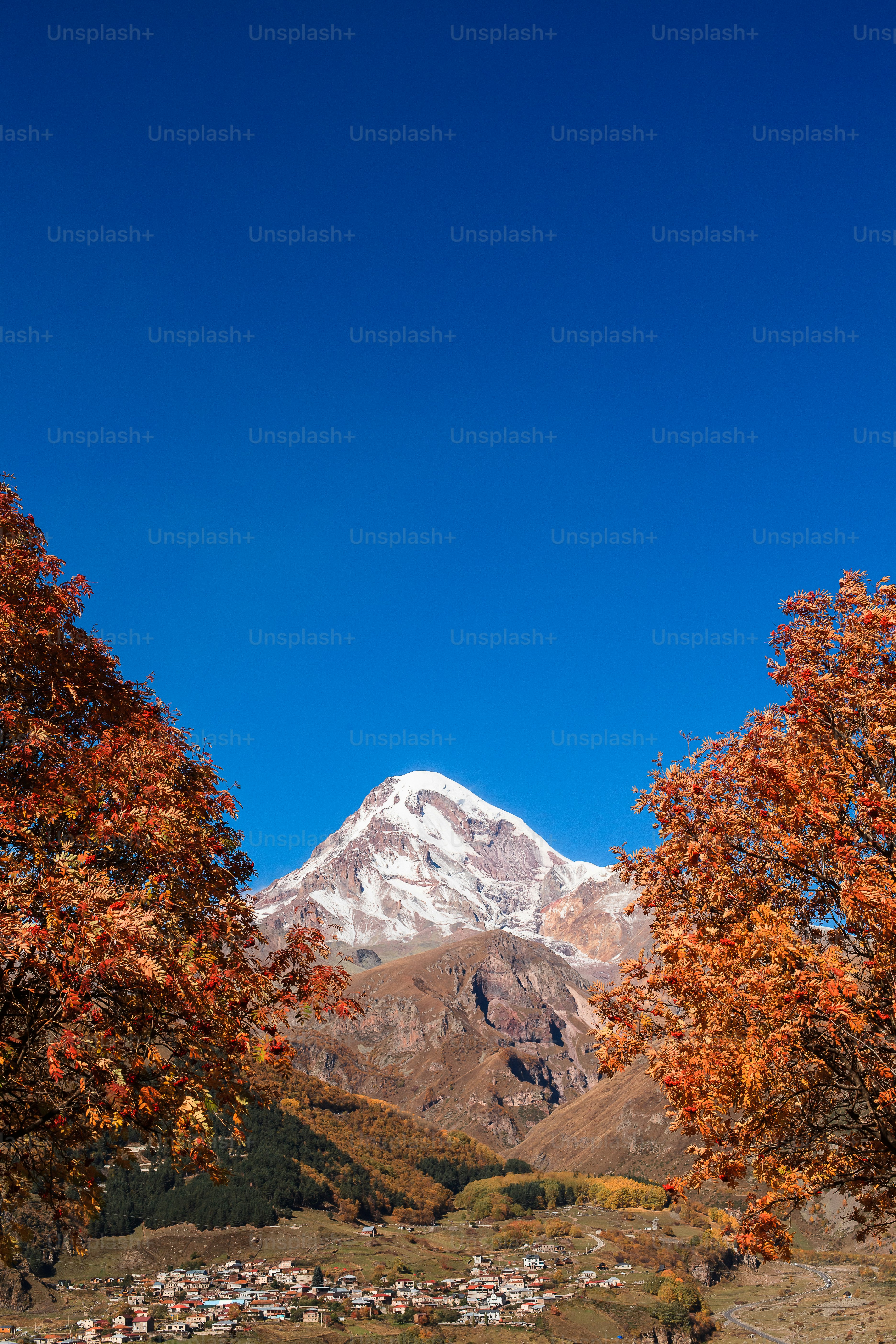 une vue d’une montagne enneigée avec des arbres au premier plan