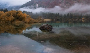 a body of water surrounded by a forest