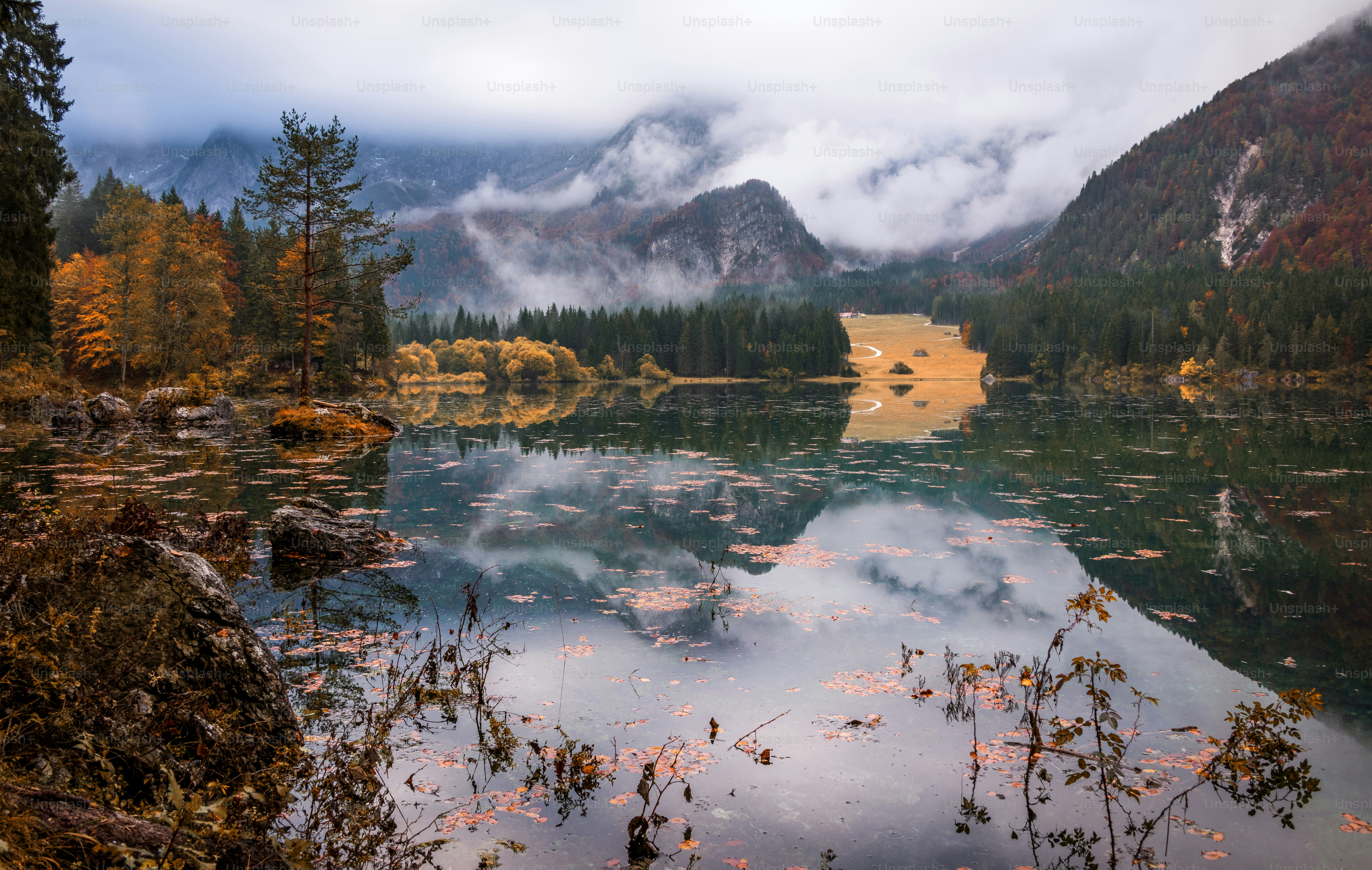 山と木々に囲まれた水域