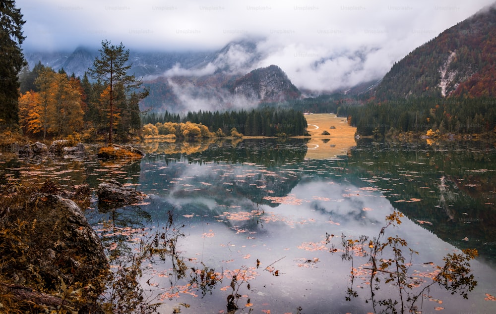 a body of water surrounded by mountains and trees