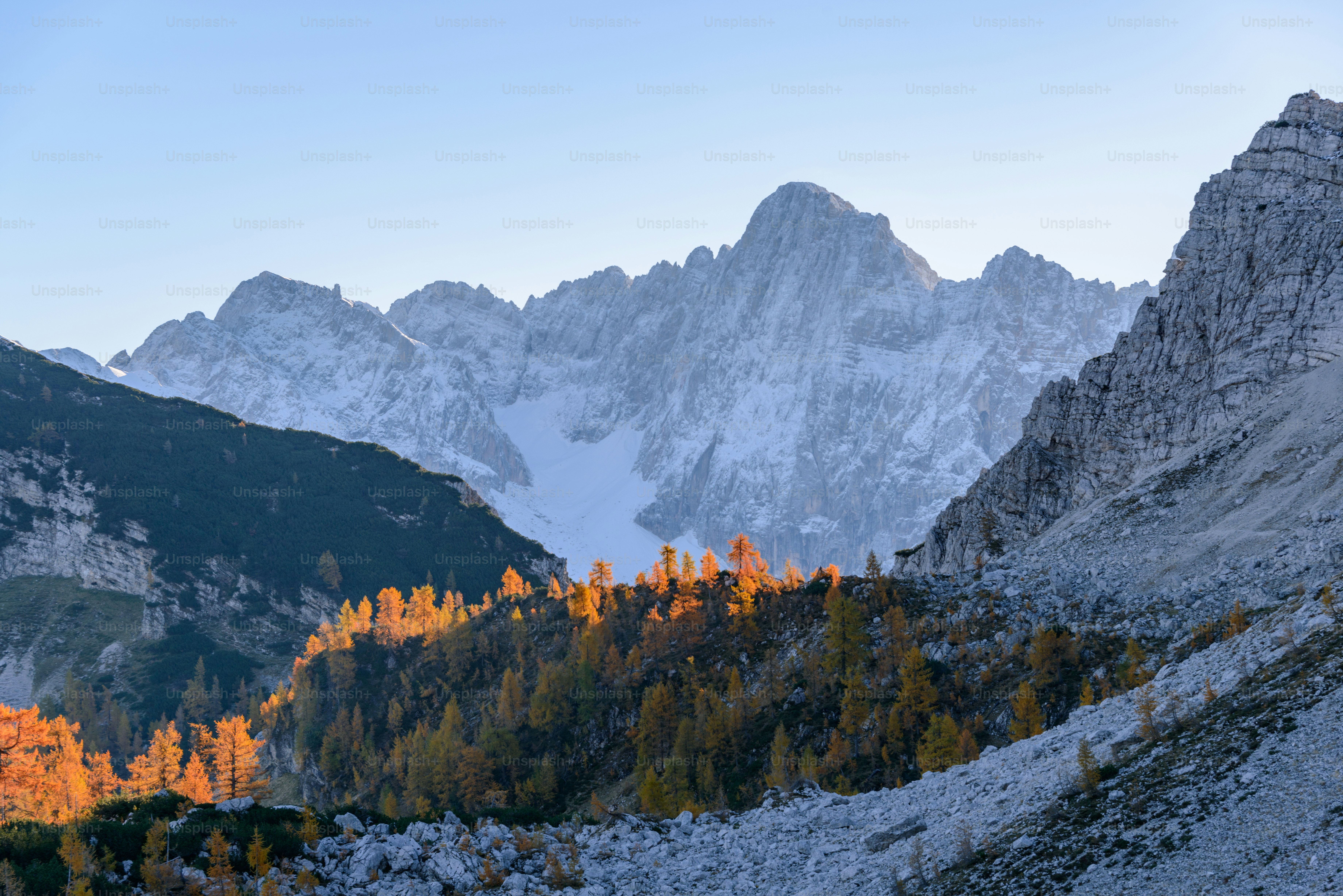 a mountain range with a few trees in the foreground