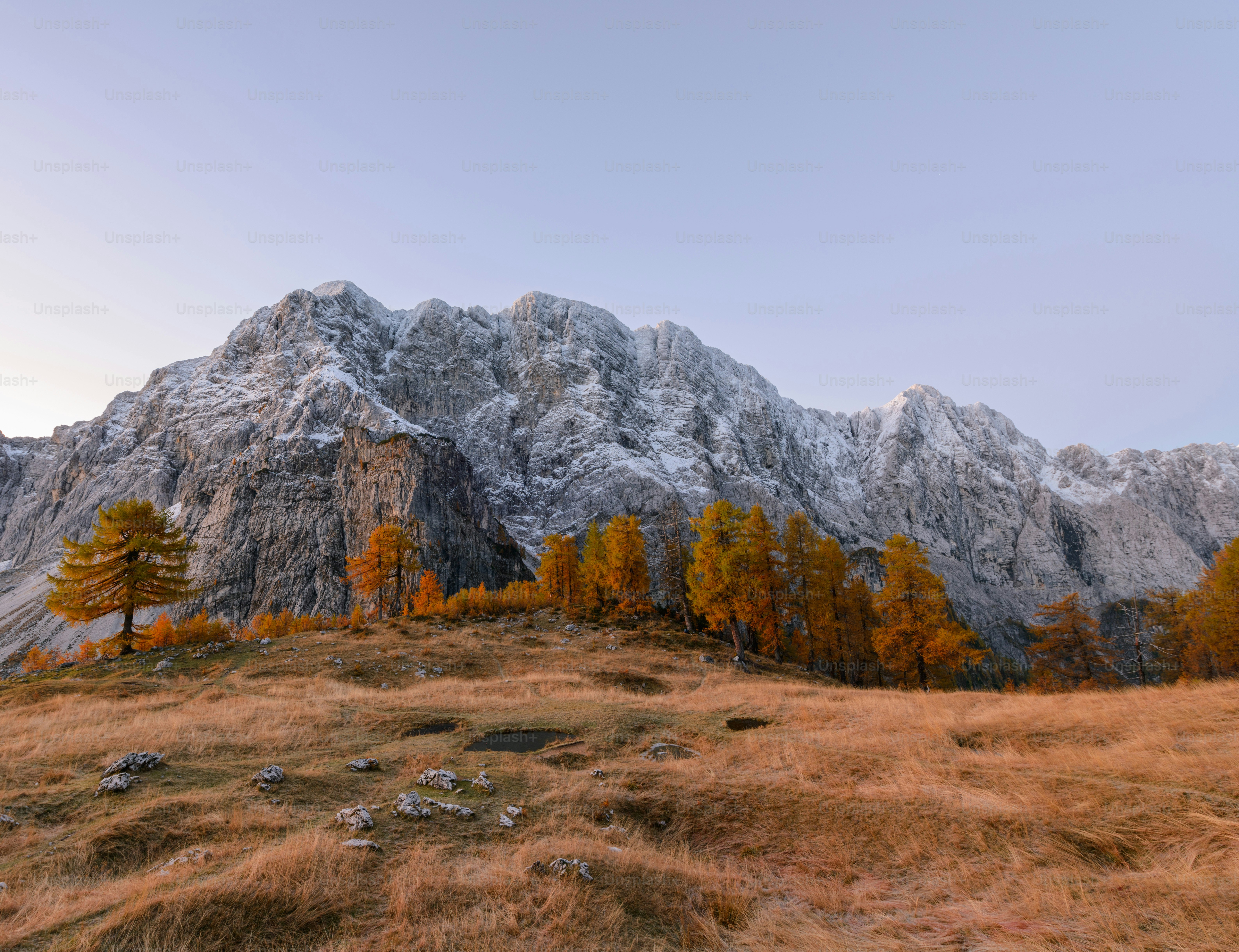 a grassy field with a mountain in the background