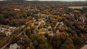 Vista aérea de una ciudad rodeada de árboles