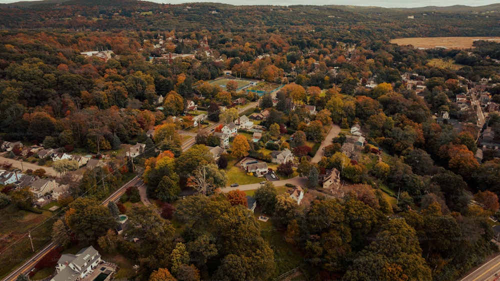 an aerial view of a town surrounded by trees