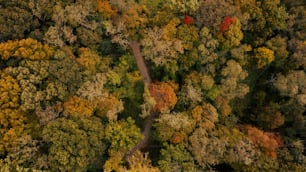 una vista aerea di una strada circondata da alberi