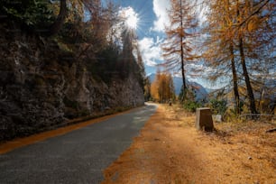 a road with a sign on the side of it