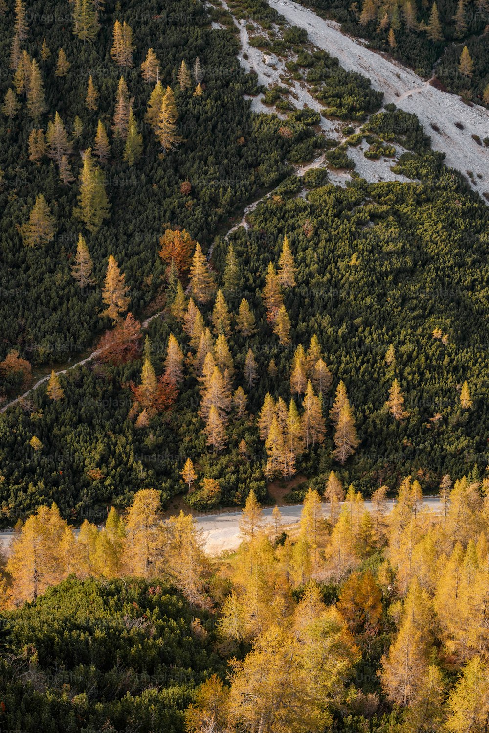 an aerial view of a road surrounded by trees