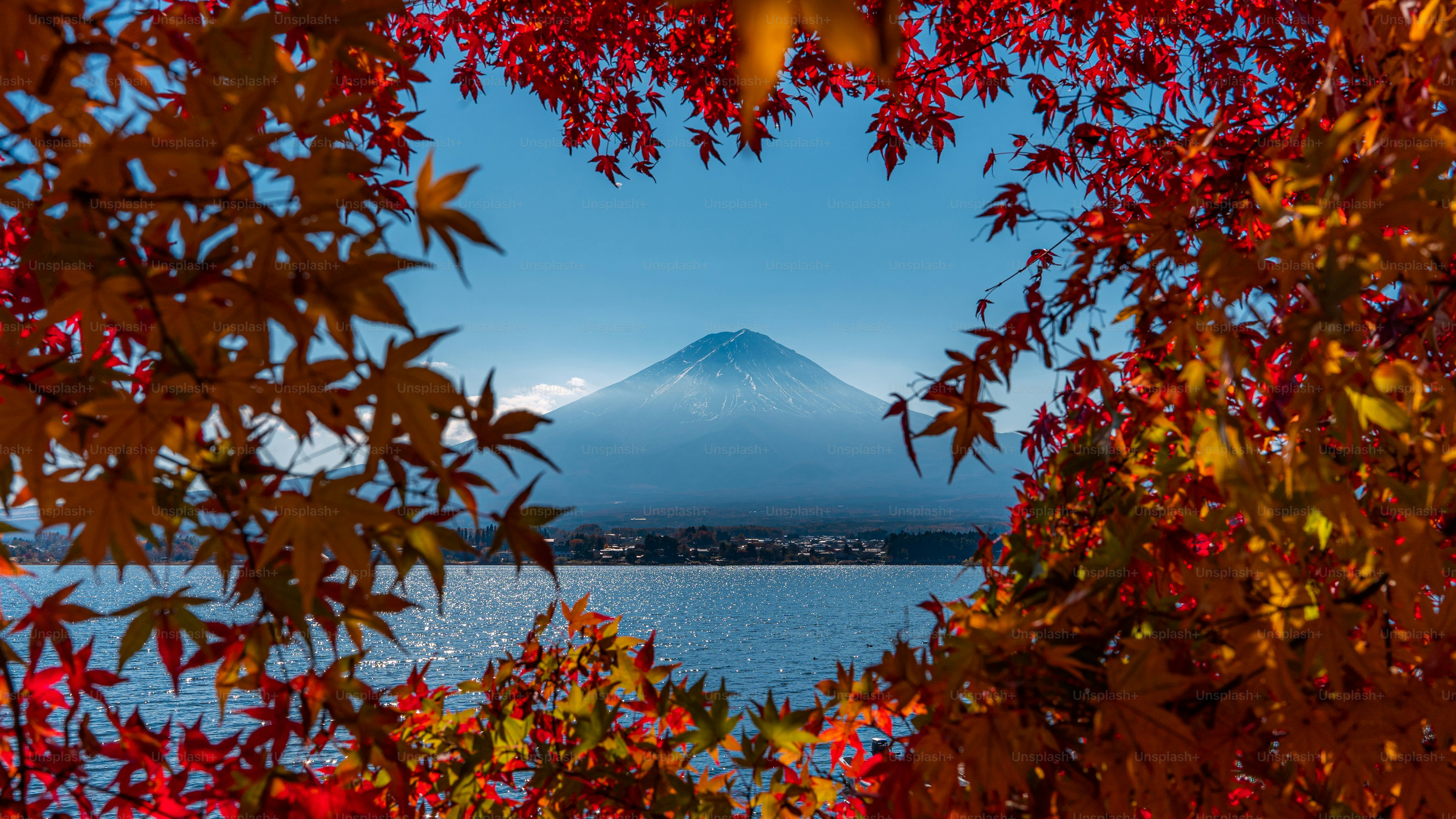 Una vista de una montaña a través de las hojas de un árbol