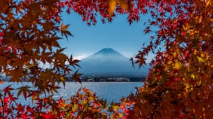 a view of a mountain through the leaves of a tree