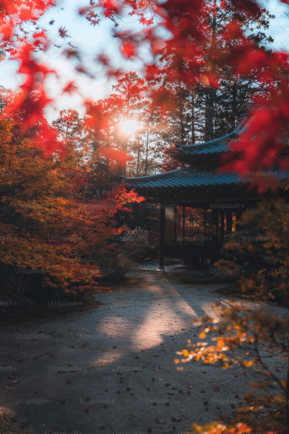 a gazebo surrounded by trees with red leaves