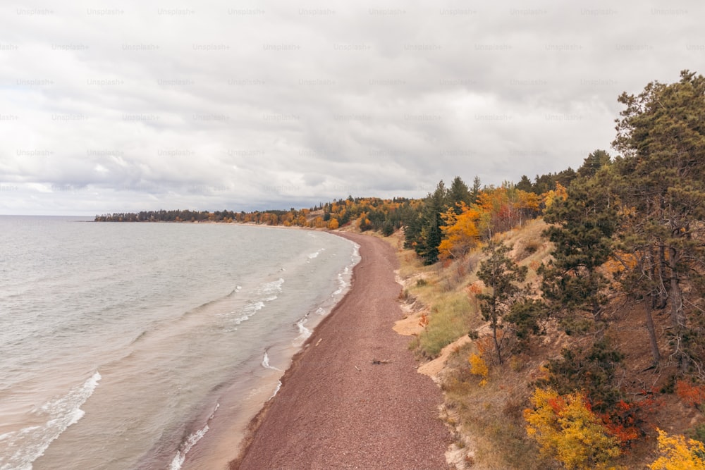 a scenic view of a beach and trees