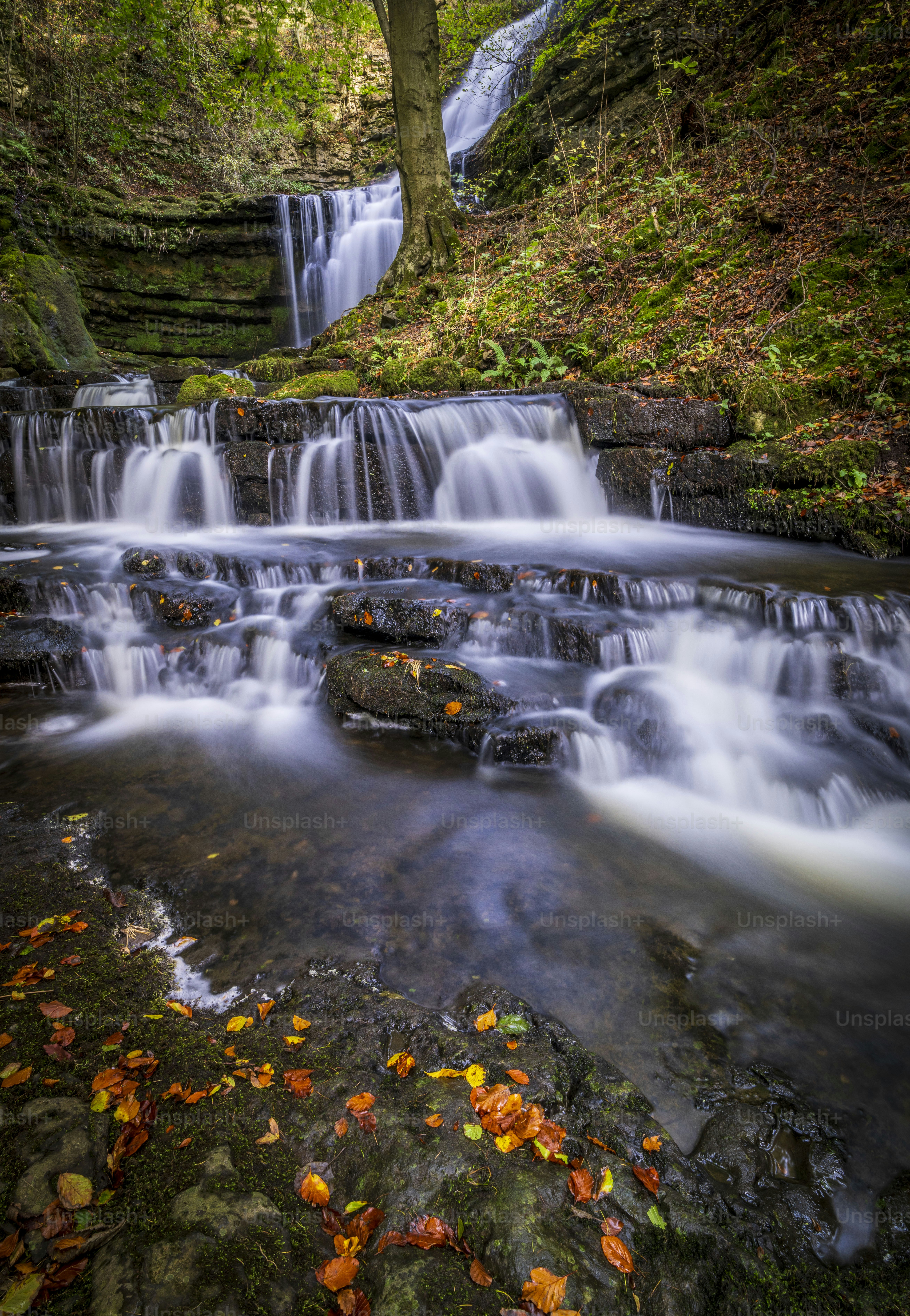 a small waterfall in the middle of a forest