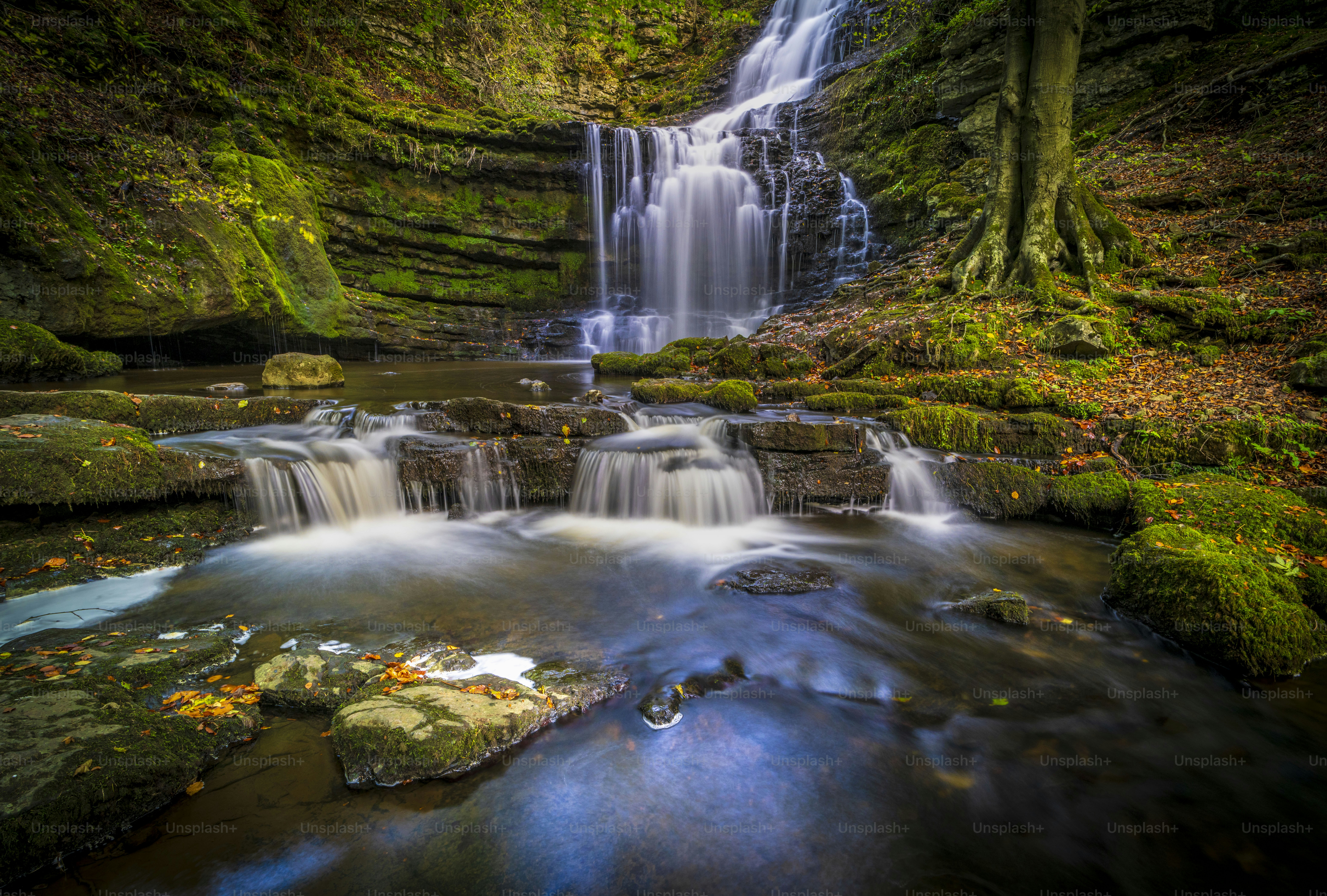 a small waterfall in the middle of a forest