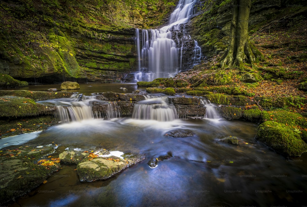 a small waterfall in the middle of a forest