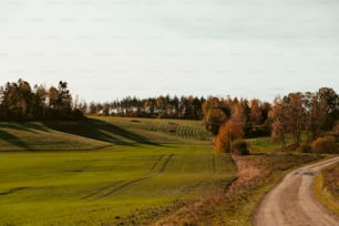 a dirt road going through a lush green field