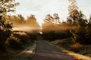 the sun is shining through the trees on the road