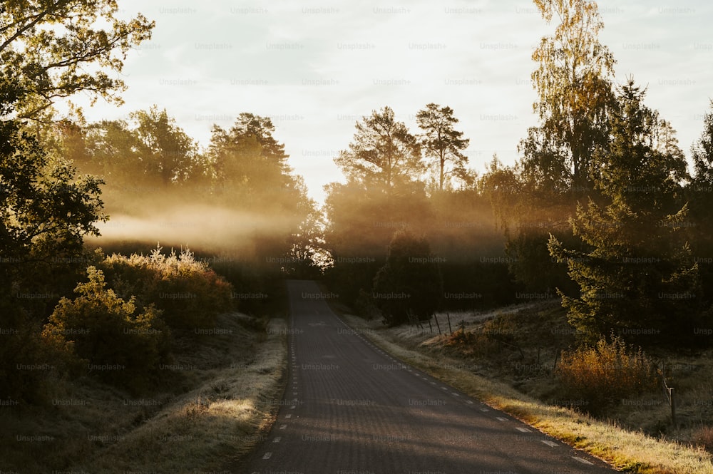 the sun is shining through the trees on the road