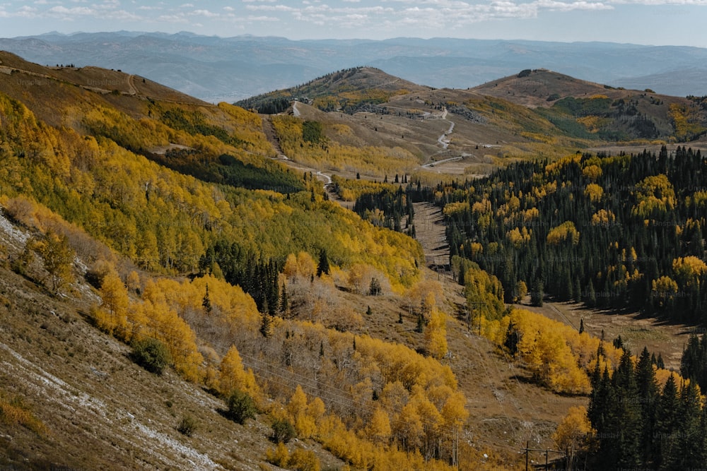 une vue panoramique d’une montagne avec des arbres jaunes