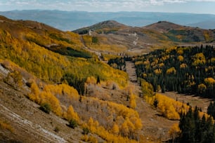Una vista panoramica di una montagna con alberi gialli