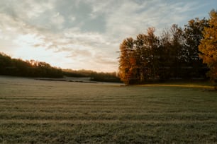 a grassy field with trees in the background