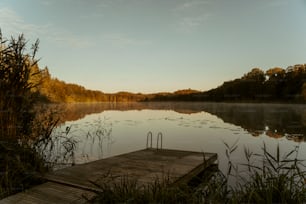 a dock sitting on top of a lake next to a forest