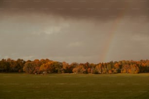 a rainbow in the sky over a green field