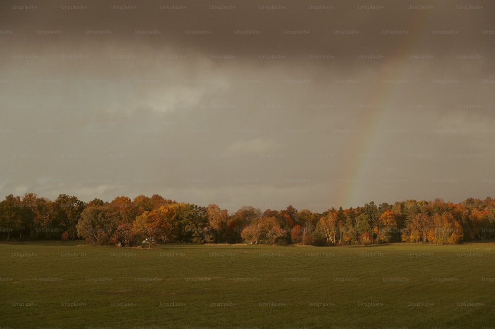 un arco iris en el cielo sobre un campo verde