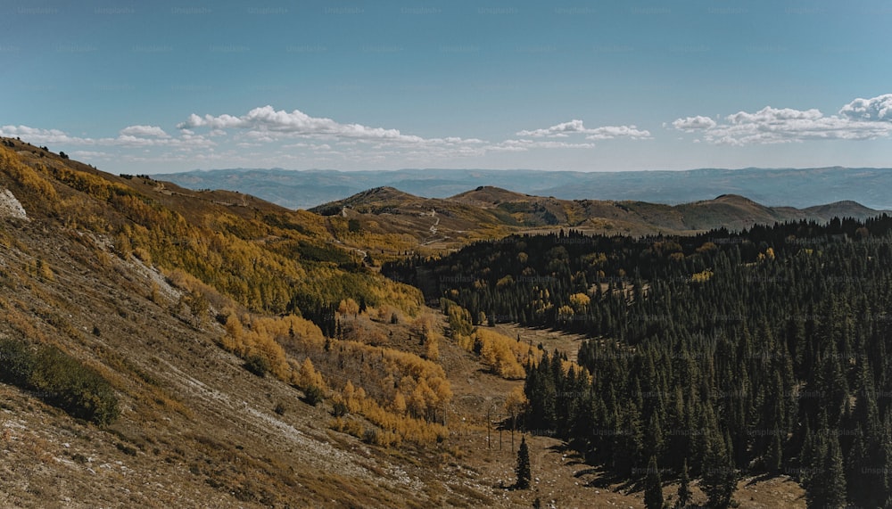 a view of a mountain range with trees in the foreground